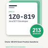 Cover of the Oracle 1Z0-819 Exam Practice Questions pack